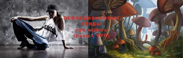 ПСИЛОЦИБИНОВЫЕ ГРИБЫ Гусев