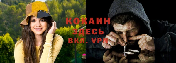 PSILOCYBIN Лихославль