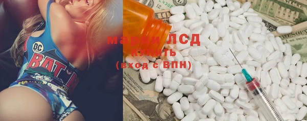 ПСИЛОЦИБИНОВЫЕ ГРИБЫ Гусев