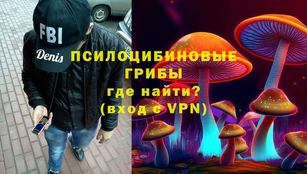 ПСИЛОЦИБИНОВЫЕ ГРИБЫ Гусев
