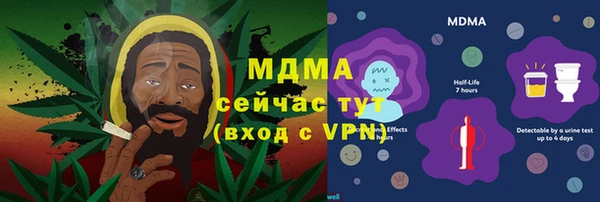 шишки Гусь-Хрустальный