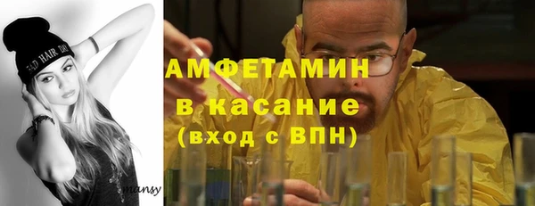 шишки Гусь-Хрустальный