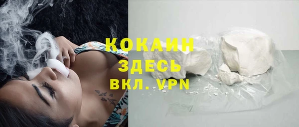 шишки Гусь-Хрустальный
