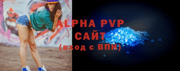 шишки Гусь-Хрустальный