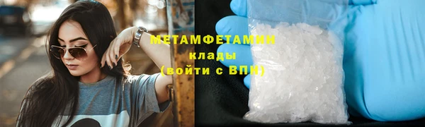 ПСИЛОЦИБИНОВЫЕ ГРИБЫ Гусев