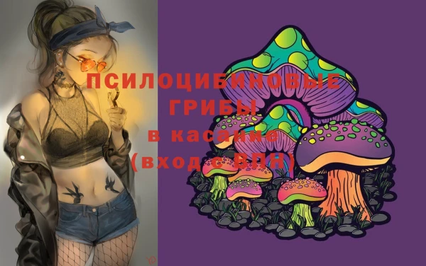 дурь Гусиноозёрск