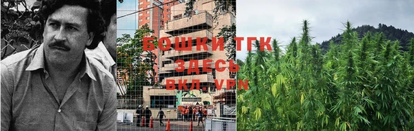 дурь Гусиноозёрск