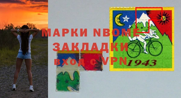 шишки Гусь-Хрустальный