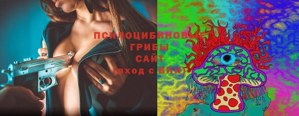ПСИЛОЦИБИНОВЫЕ ГРИБЫ Гусев